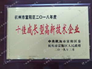十佳成長型高新企業(yè)
